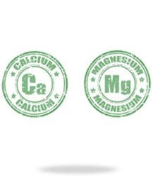 Two green stamps with the words calcium, magnesium and magnesium malate.